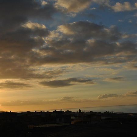 Discover The North Of The Island Of Tenerife Сан-Кристобаль-де-Ла-Лагуна Экстерьер фото